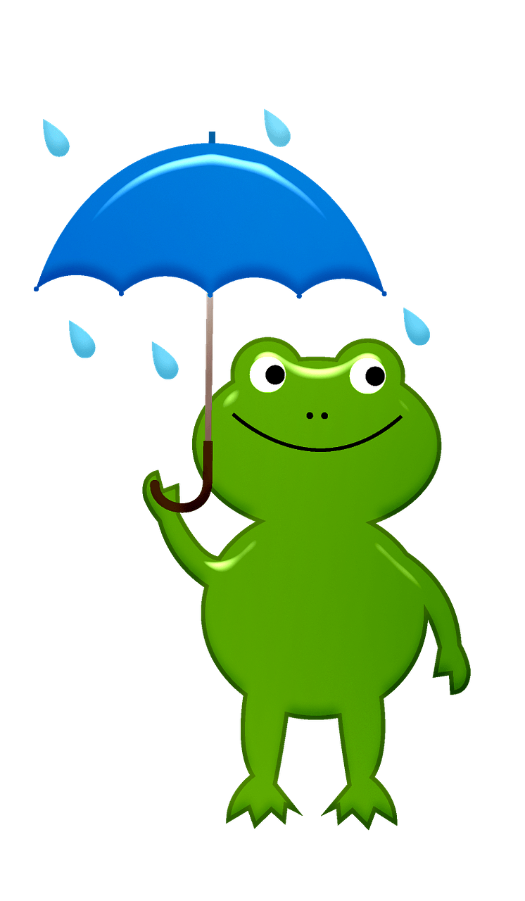 Frog with umbrella