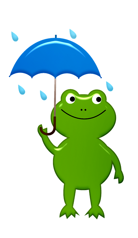 Frog with umbrella