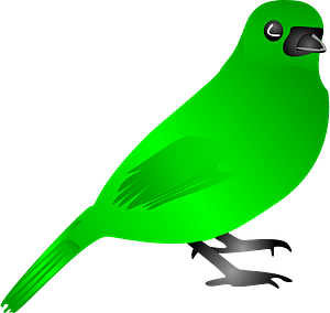 Green Bird