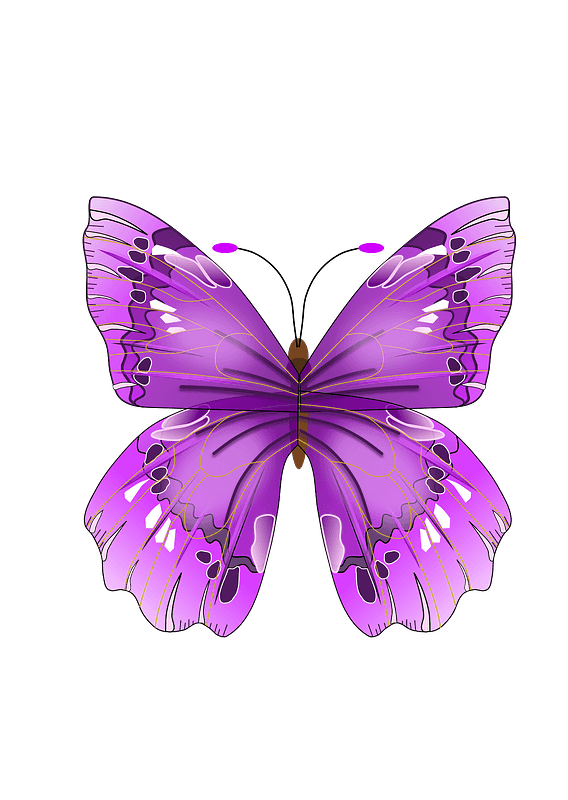 Purple Butterfly