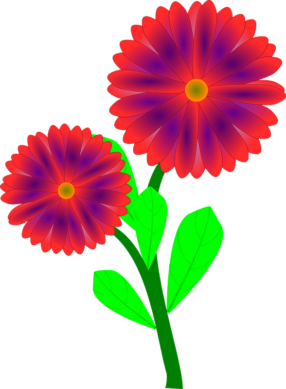 Red Flowers on the Stem
