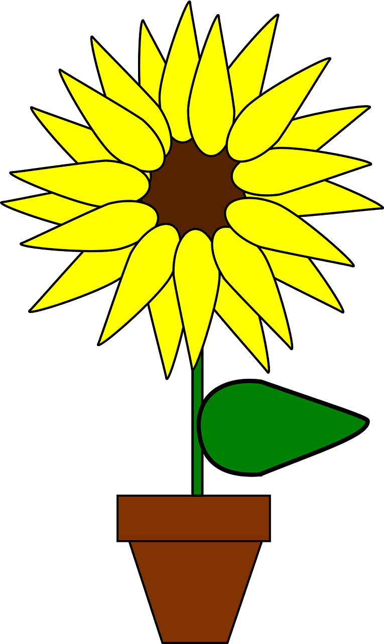 Flower in a pot