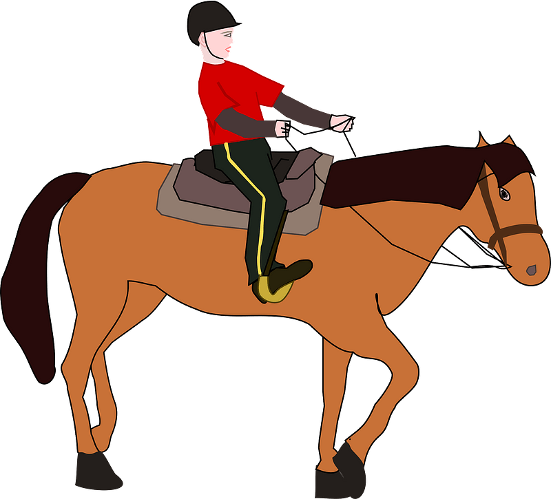 Horse riding lesson
