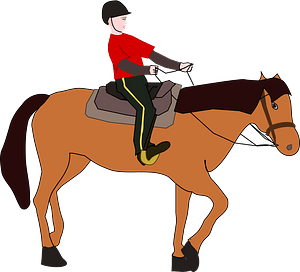 Horse riding lesson