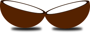 Noix de coco