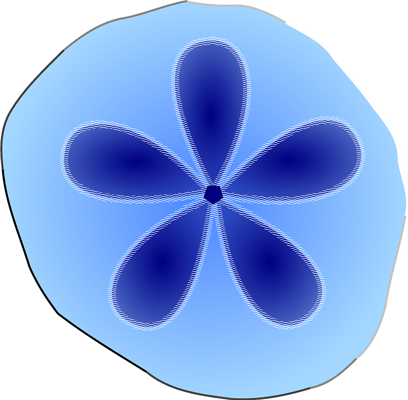 Blue sand dollar