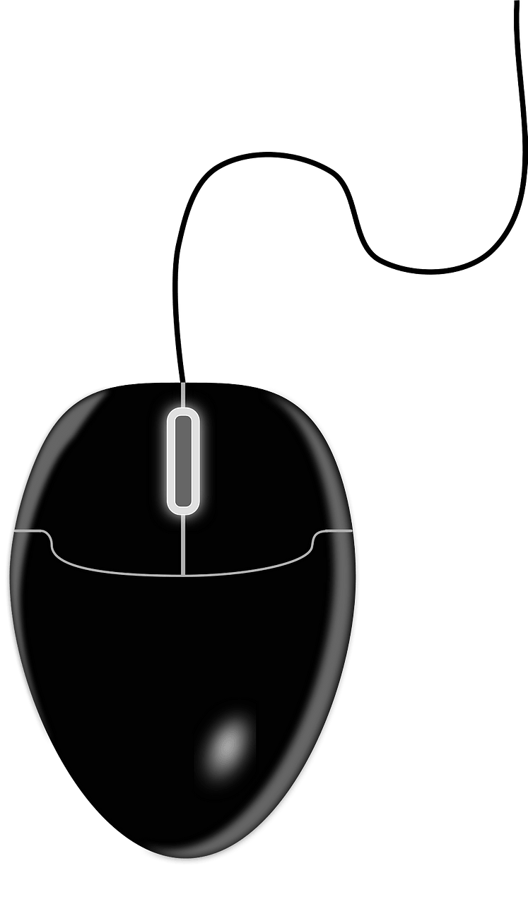 Black computer mouse