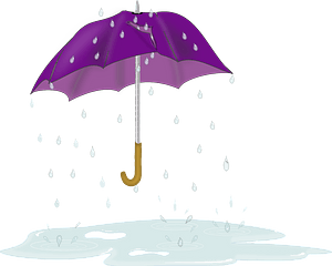 Tattered purple umbrella in rain