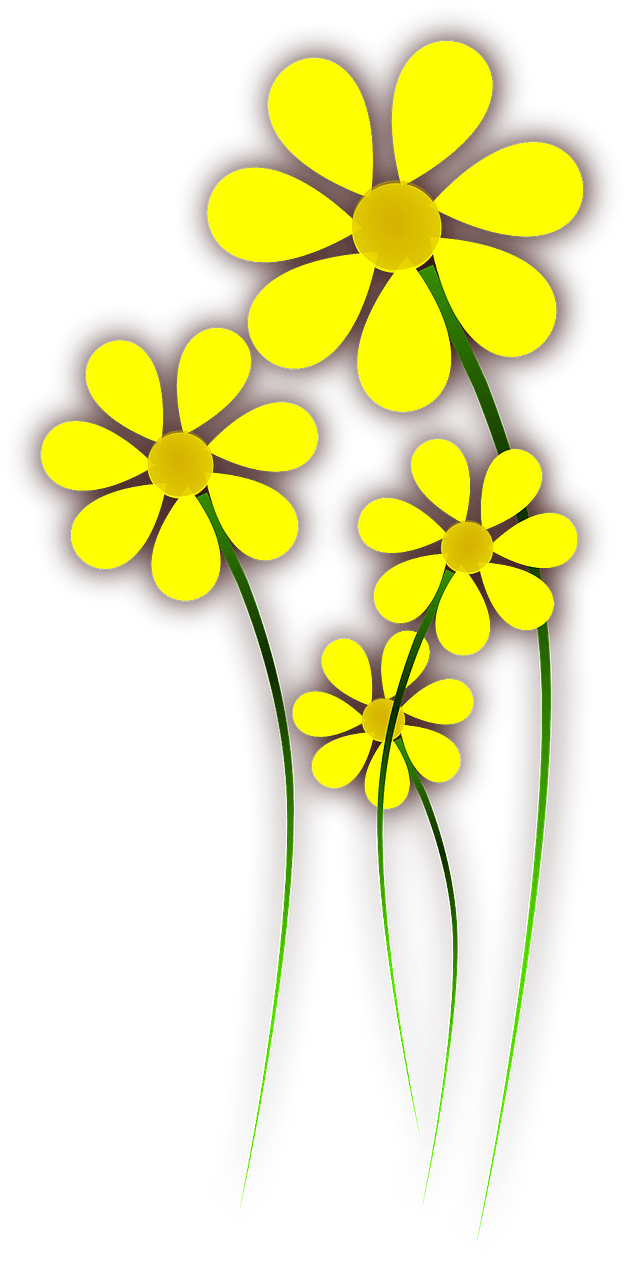 Daisies