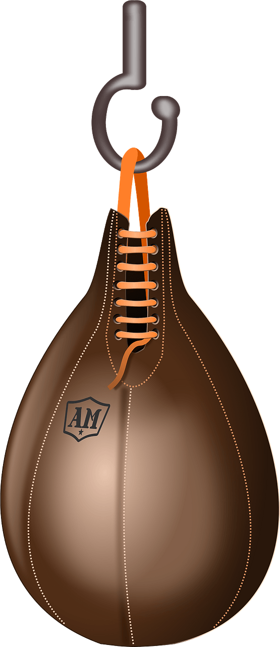 Boxing speedbag