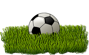 Soccer Ball Grass