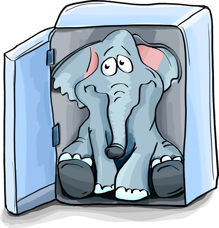 Elephant in fridge