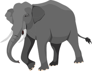 Walking elephant