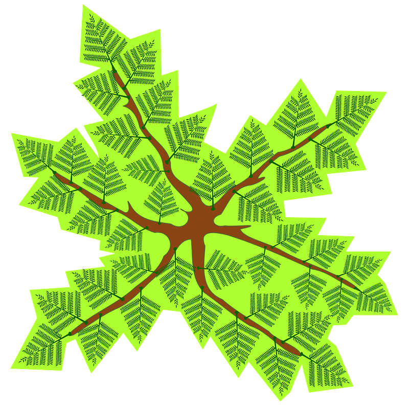 Tree from above