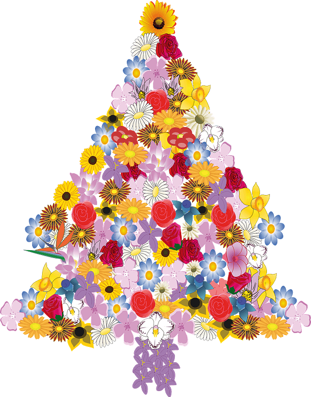 Christmas Tree in Bloom