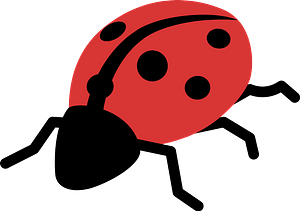 Ladybug