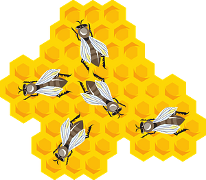 Bees on honeycomb