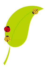 Ladybugs on a leaf