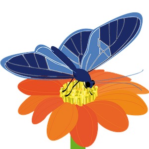 Butterfly on a flower
