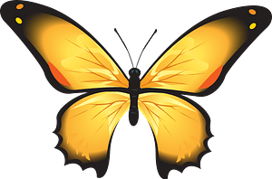 Yellow butterfly