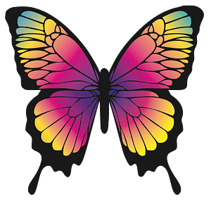 Colourful butterfly