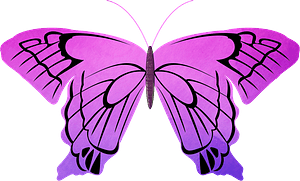 Purple butterfly