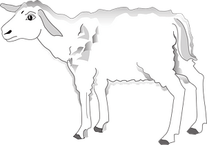 Worried lamb