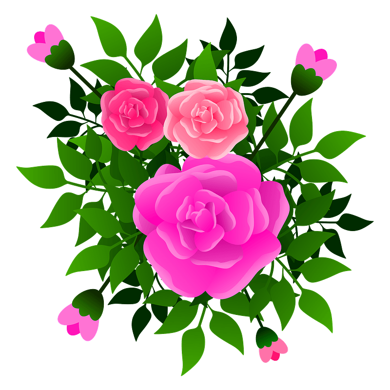 Pink Roses Bouquet