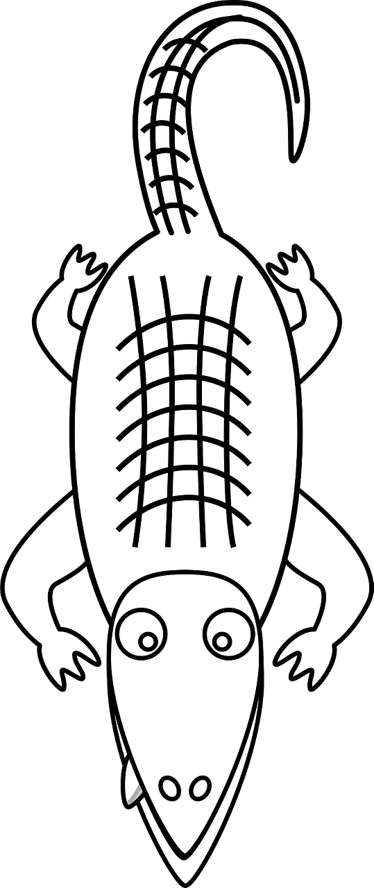 Alligator Line Art
