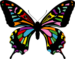 Colorful Butterfly - Free vector clipart images on creazilla.com