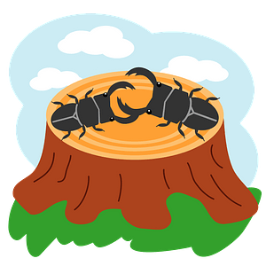 Stag Beetles on a Tree Stump