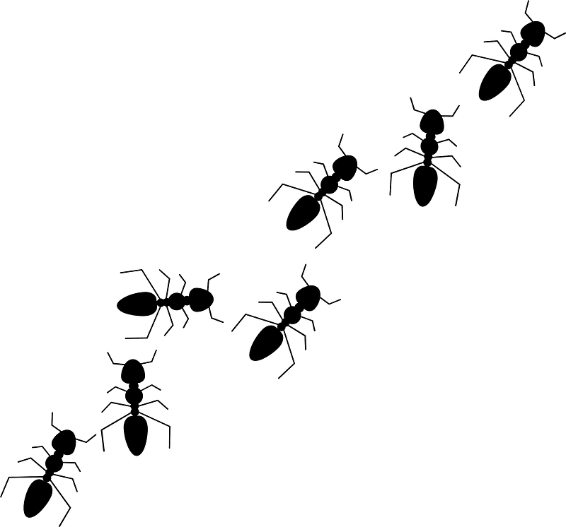 Ants - Free vector clipart images on creazilla.com