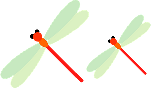 Red Dragonfly Insect
