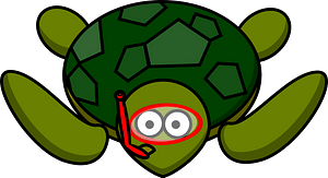 Turtle in a swimming mask