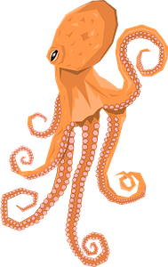 Orange octopus