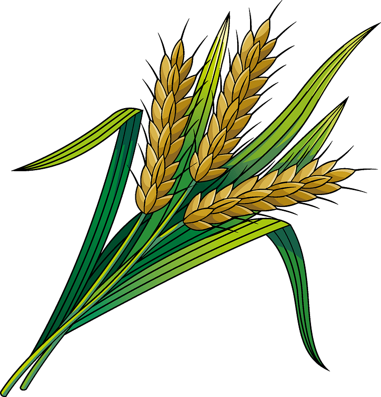 Wheat - Free vector clipart images on creazilla.com