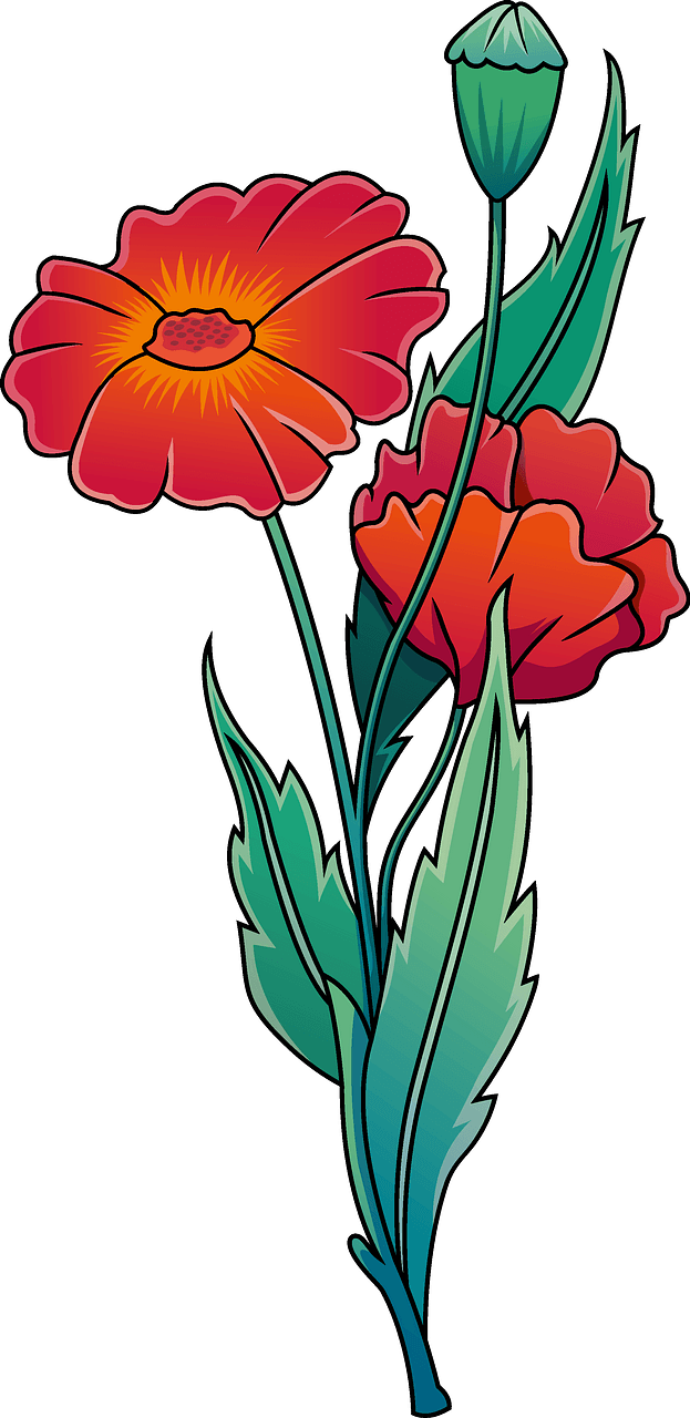 Wildflower poppy