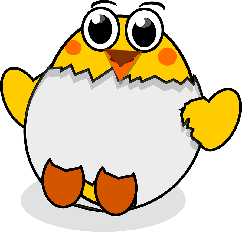 Cartoon chick hatching