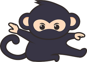 Monkey ninja