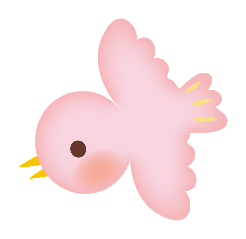 Pink bird