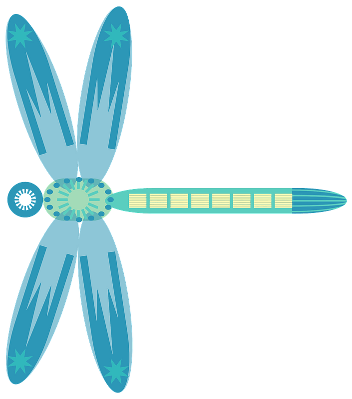 Abstract Dragonfly