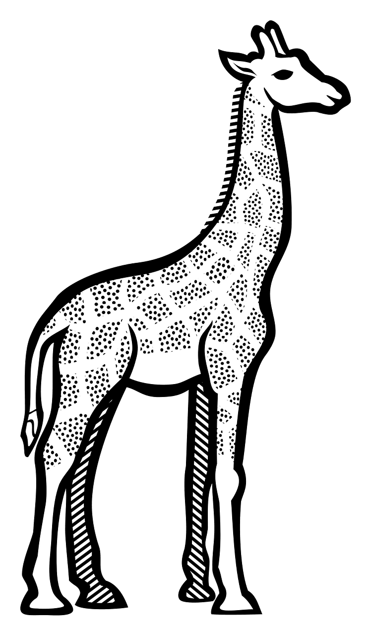 Giraffe - black and white