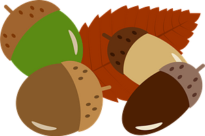 Acorns and Fallen Leaf