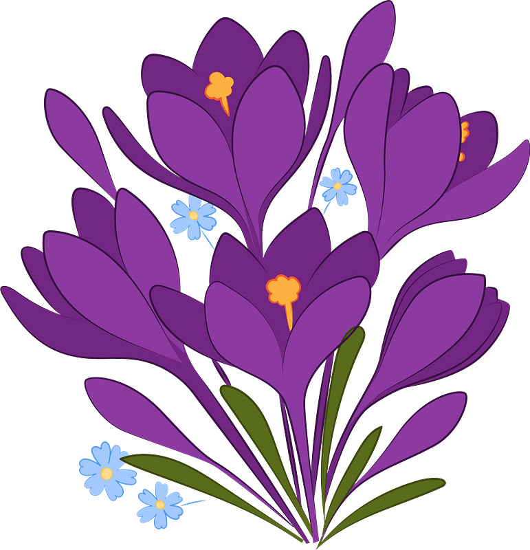 Spring flowers