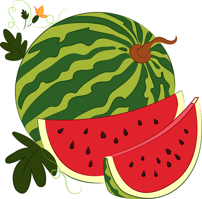 Watermelon - Free vector clipart images on creazilla.com