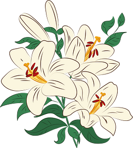 Lilien