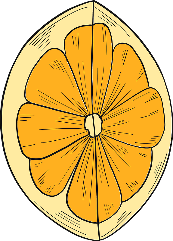 Orange slice