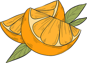 Orange slices