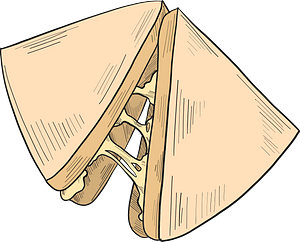 Sandwich