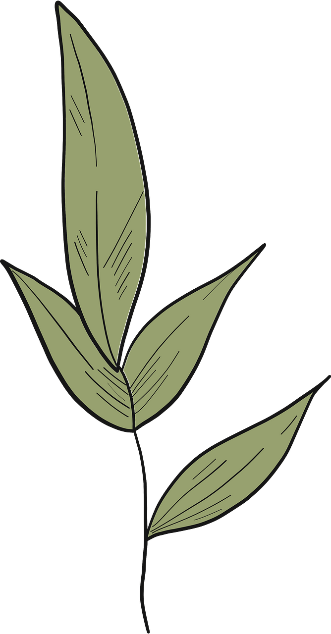Tea leaves
